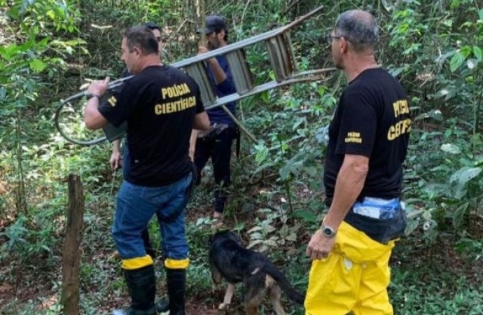 Partes de corpos esquartejados são encontrados em mata, no Paraná