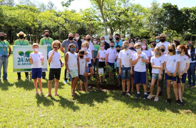 Peroba foi a árvore escolhida em Missal para o plantio Simbólico da Campanha 24 Milhões de Árvores plantadas