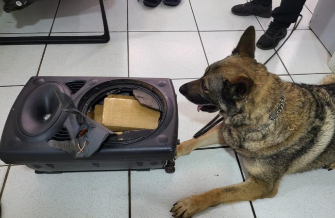 PF apreende caixa de som recheada com maconha em rodoviária de Foz do Iguaçu