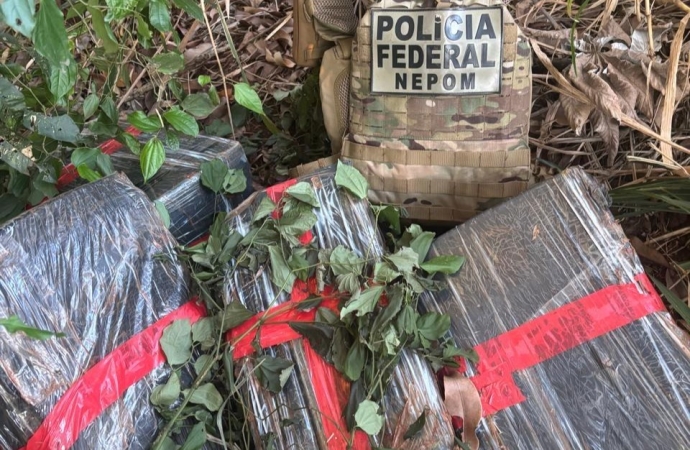 PF apreende quase 100 kg de maconha em Santa Helena