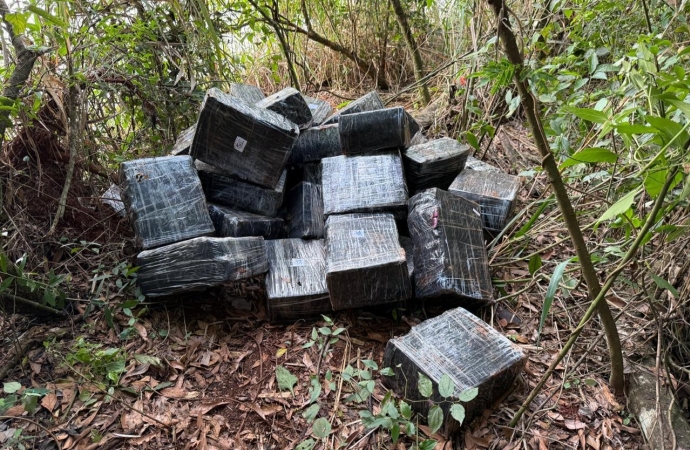 PF e PM apreedem quase 1 tonelada de maconha em Itaipulândia/PR