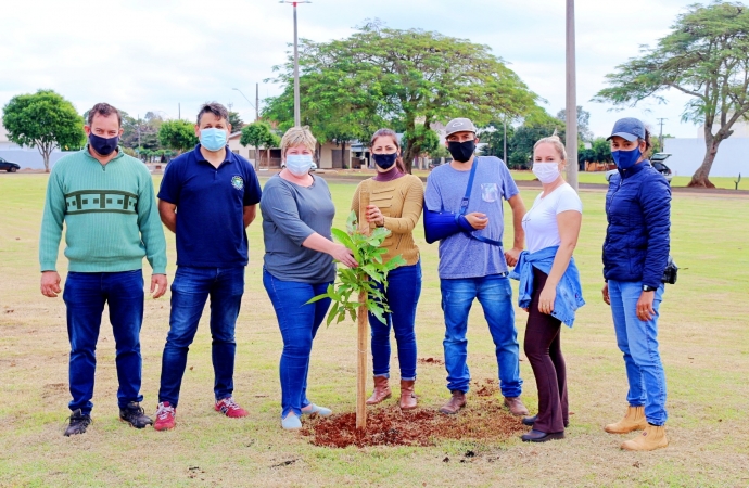 Plantio de árvores na Praça Edi Berghahn em Itaipulândia deixa legado de sustentabilidade e cidadania