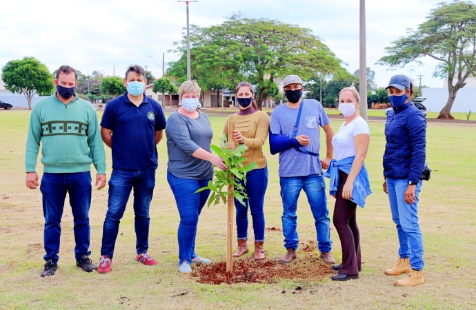 Plantio de árvores na Praça Edi Berghahn em Itaipulândia deixa legado de sustentabilidade e cidadania