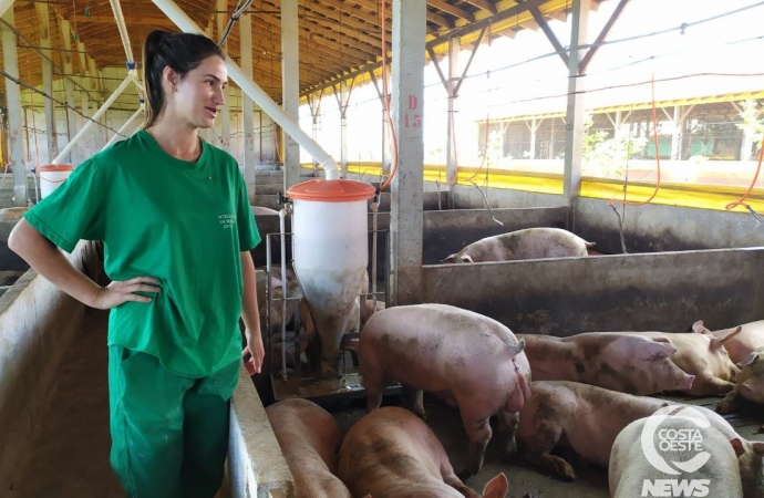 Pocilgas cada vez maiores e modernas seduzem novas gerações de suinocultores