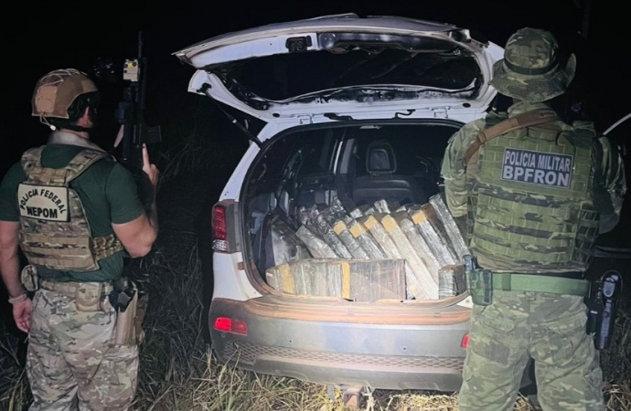 Polícia apreende 578 kg de maconha em área de mata