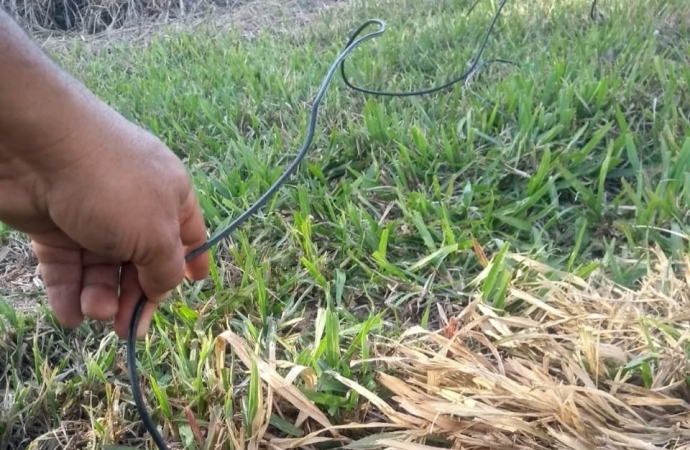 Polícia Civil prende em flagrante dupla por furto de energia elétrica