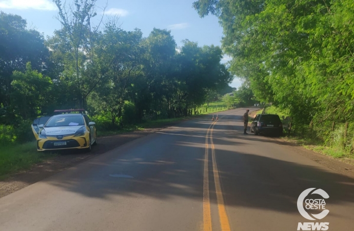 Polícia Rodoviária Estadual autua oito veículos na PR-497 entre São Miguel e Missal durante o domingo de Páscoa