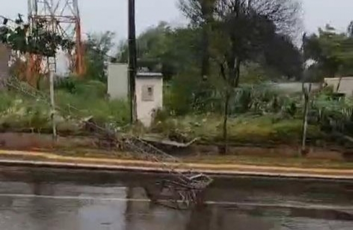 Polícia Rodoviária informa queda de árvores e torre nas PR 488 e 995 em Santa Helena