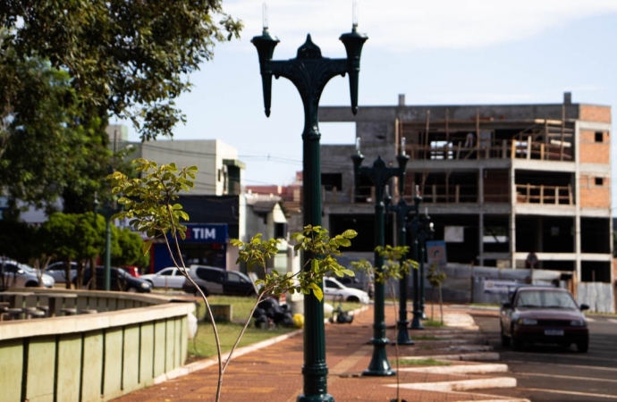 Praça Ângelo Darolt recebe melhorias na iluminação e arborização em Medianeira