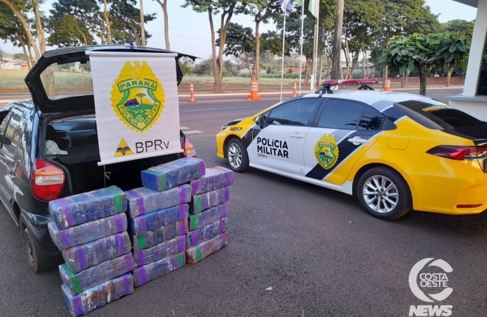 PRE apreende mais de 200 kg de maconha na PR 488, em Diamante do Oeste