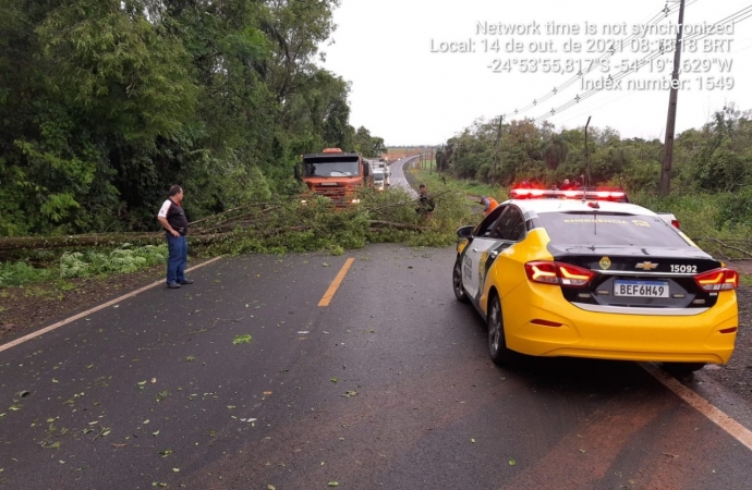 PRE de Santa Helena auxilia em desobstrução da PR 488 após queda de árvore