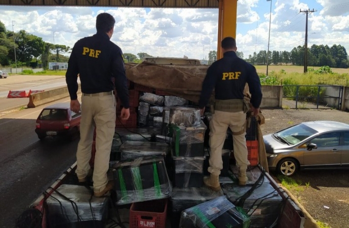 PRF faz a maior apreensão de maconha do Sul do Brasil, em Cascavel