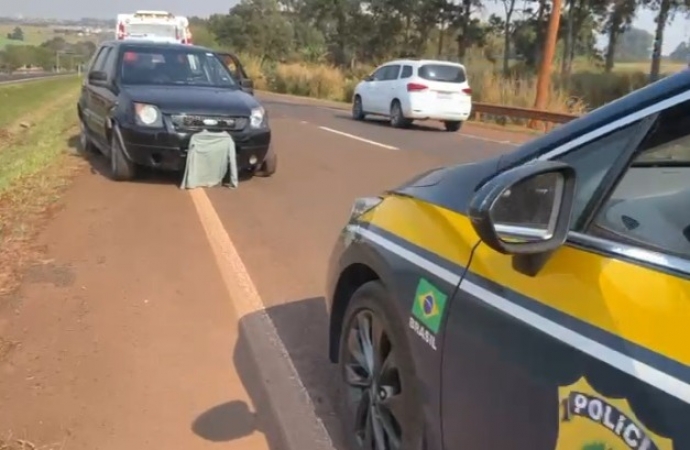 Vídeo: PRF prende homem com 150 kg de maconha que tentou cruzar canteiro central da BR-277