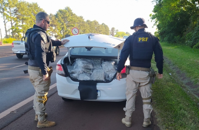 PRF prende jovem transportando skunk em São Miguel do Iguaçu