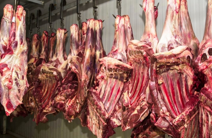 Procon recomenda que açougues deixem de vender ossos e carcaças de animais