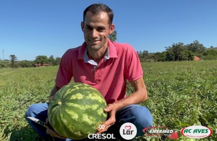 Produção de melancia complementa renda de pequeno agricultor