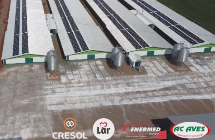 Produtor de frangos chega faturar até R$ 50 mil mensais com gerenciamento de energia solar