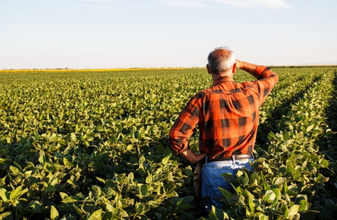 Produtor rural poderá regularizar cadastro ambiental pela internet