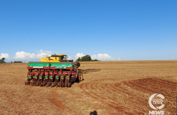 Produtores se dividem entre iniciar o plantio e esperar a chuva na microrregião oeste