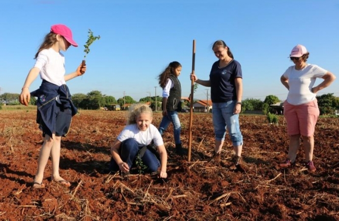 Professor relata importância educativa do plantio de árvores em Santa Helena