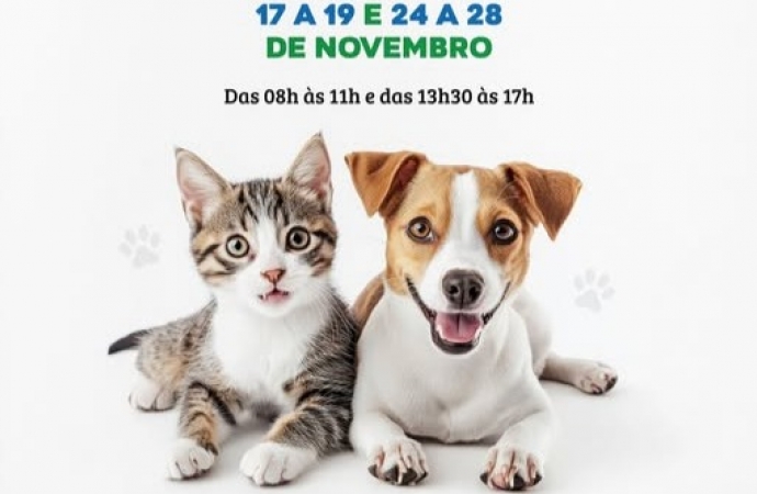 Programa CASTRAPET disponibiliza 104 vagas gratuitas em Itaipulândia