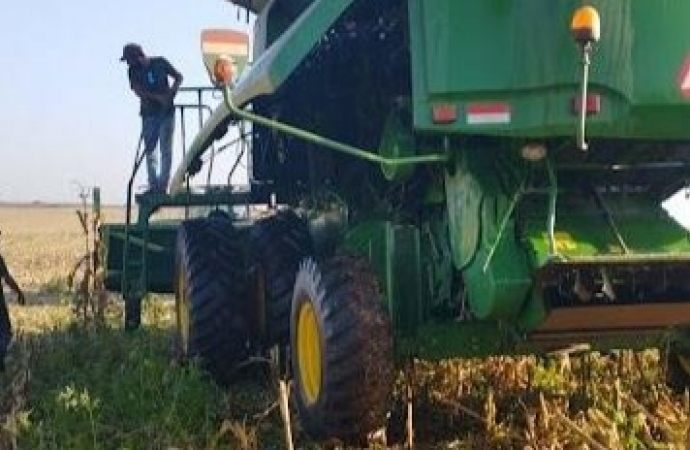 Programa de Aquisição de Alimentos (PAA) beneficia agricultores de Itaipulândia