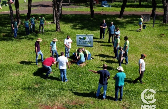 Projeto 24 milhões de árvores plantadas chega em sua fase final