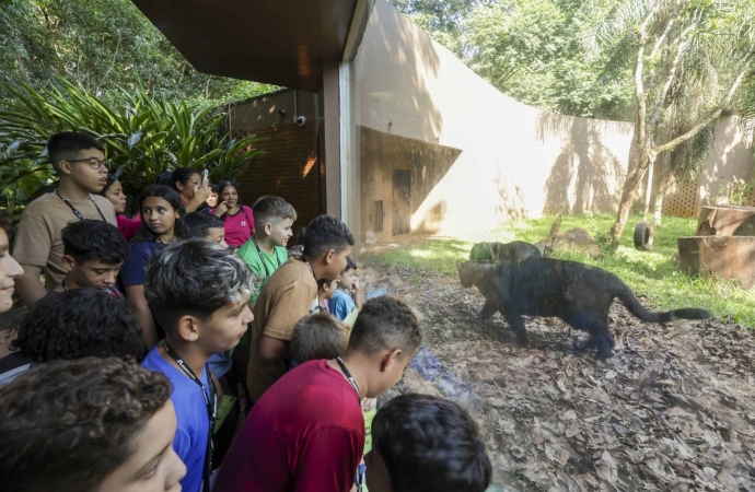 Projeto "Amigos do Eco e do Refúgio em Ação" promove educação ambiental e sustentabilidade em Foz do Iguaçu