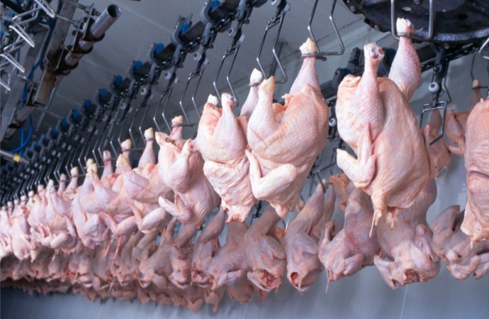 Qualidade e rigor sanitário fazem do Paraná líder em exportação de carne halal