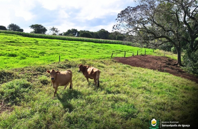 Quem não realizar a atualização dentro do prazo não poderão emitir GTA