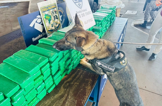 Receita Federal apreende 227,3 kg de maconha escondidos em fundo falso de van paraguaia