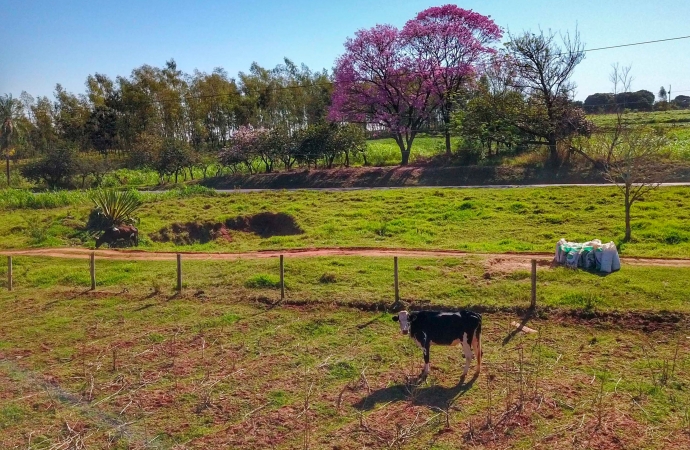 Regularização fundiária alcança mais de 1,2 mil pequenos produtores