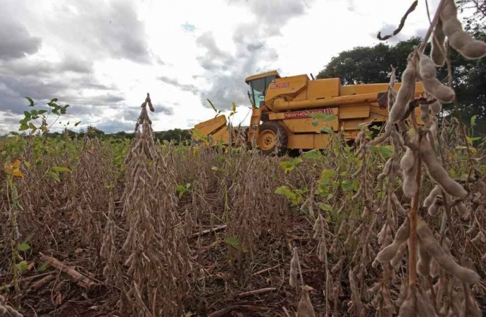 Safra de soja aumenta demanda por trabalhadores temporários no Paraná