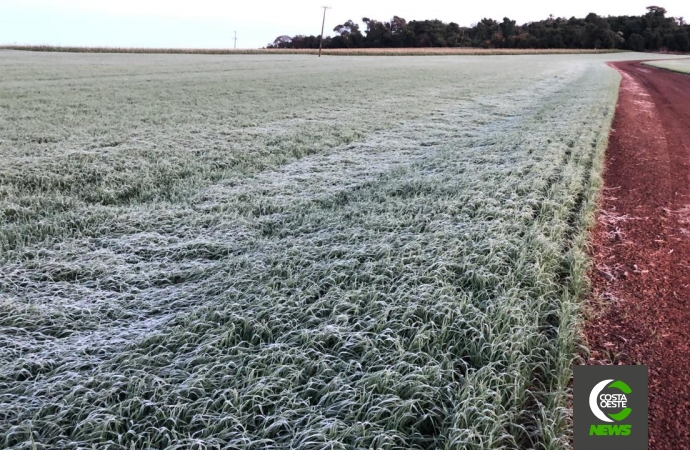 Santa Helena registra mínima de 1ºC e formação de geada, segundo Simepar