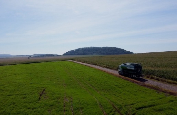São Miguel do Iguaçu: 63 anos de história e crescimento com base na agricultura