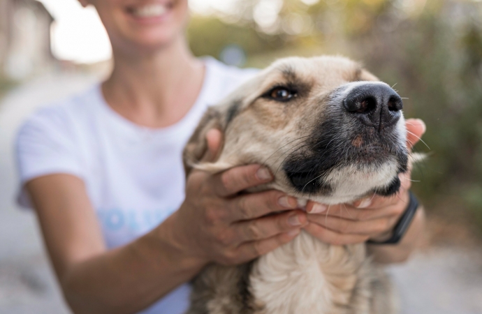 São Miguel do Iguaçu: Amor sem coleiras realiza feira de adoção e encontra lares para 16 Pets