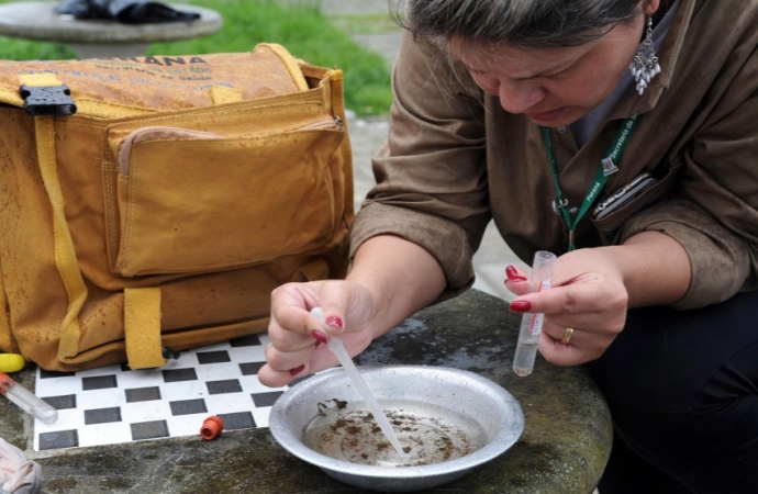 Saúde de São Miguel divulga resultado do 1º Levantamento Rápido de Índices para Aedes Aegypti de 2022