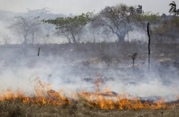 Seca impacta além do abastecimento de água: prejudica agricultura, saúde e agrava riscos de incêndios