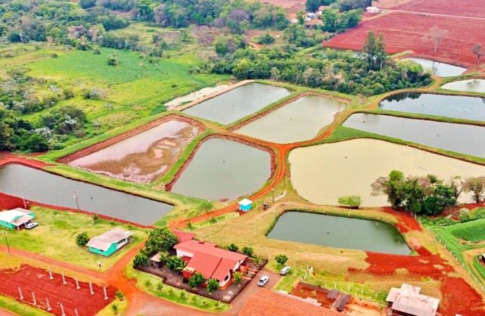 Secretaria de Agricultura de Itaipulândia está com o Chamamento Público aberto para seleção de propriedades para piscicultura comercial