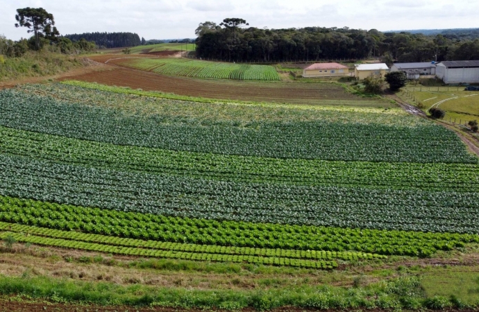 Seguro Rural: Benefício pode ganhar reforço de saldos remanescentes do PIS/Pasep