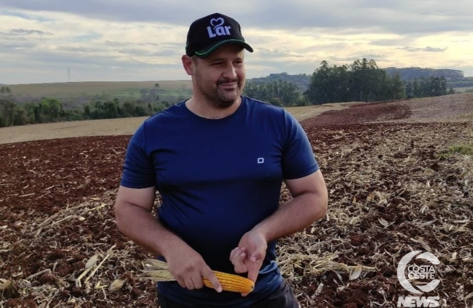 Semear a soja no pó ou esperar a chuva? Os agricultores precisam conviver com a difícil decisão