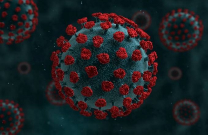 Serranópolis do Iguaçu: Boletim Epidemiológico 08/02