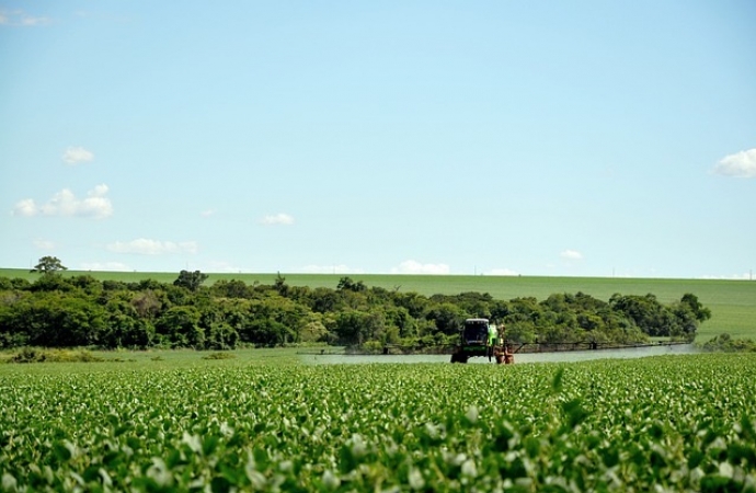 Soja 2024/25: produção deve atingir 170,8 milhões de toneladas no Brasil