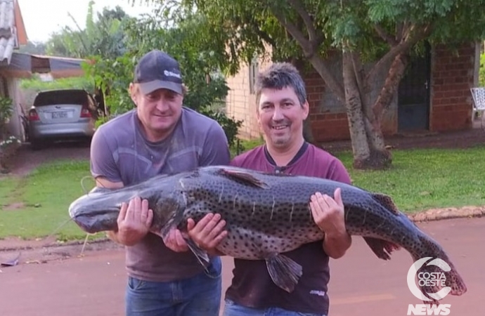 Surubim com mais de 40kg é capturado por pescadores em Santa Helena