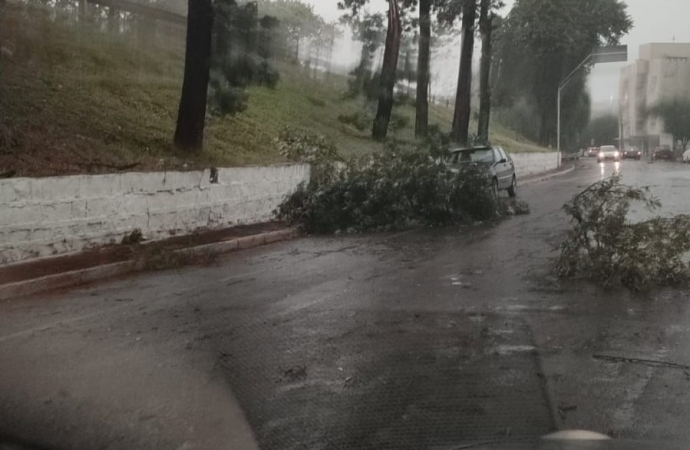 Temporal provoca falta de energia e afeta o abastecimento em cidades e distritos nas regiões Oeste e Sudoeste