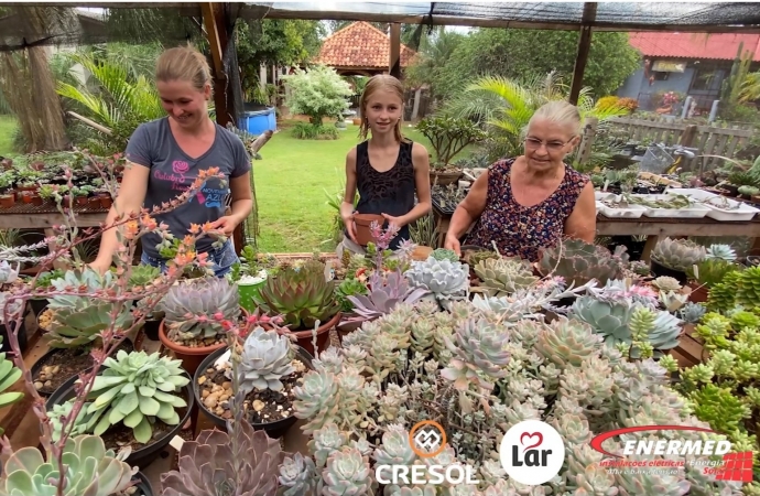 Três gerações de mulheres do agro sonham em transformar a paixão pelas plantas suculentas em um negócio