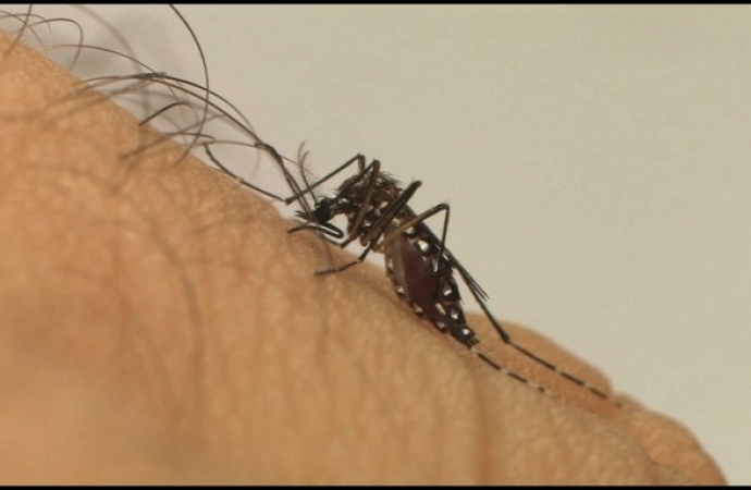 Último dia do arrastão contra a dengue em Missal será nesta sexta-feira (9)