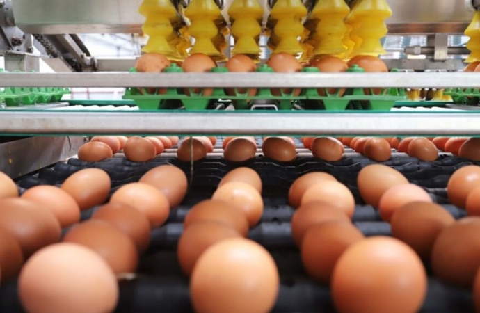 Valor de produção da pecuária tem recorde, com marca de R$ 122 bi