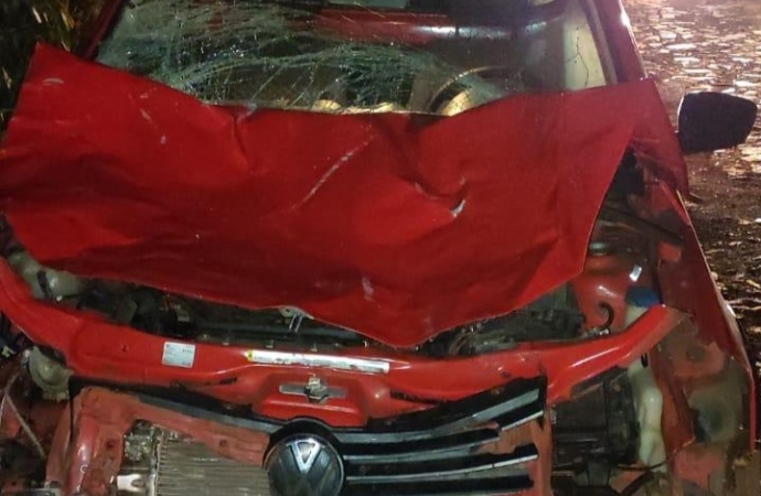 Veículo colide violentamente em boi na rodovia PR 317 em Santa Helena
