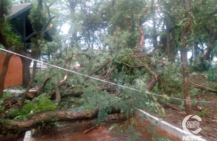 Vendaval deixa rastro de destruição em Pato Bragado (vídeo)